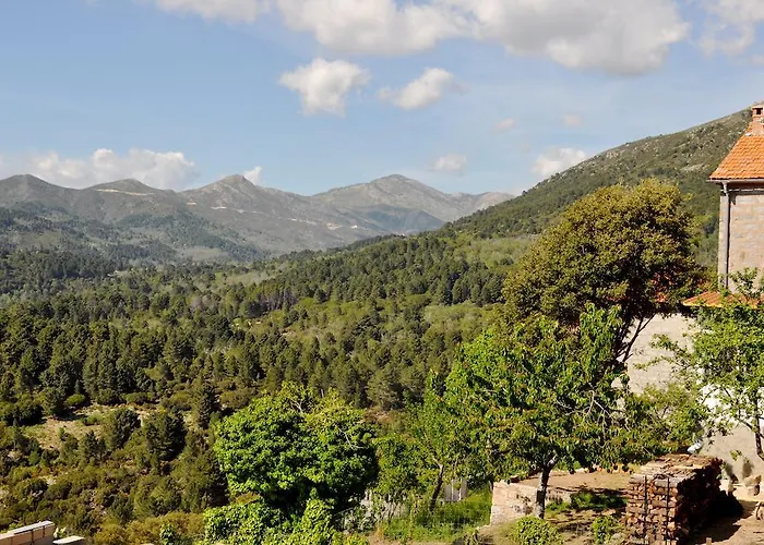 Bed & Breakfast D'hotes Cardellini Aullene