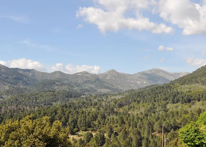 Bed & Breakfast D'hotes Cardellini