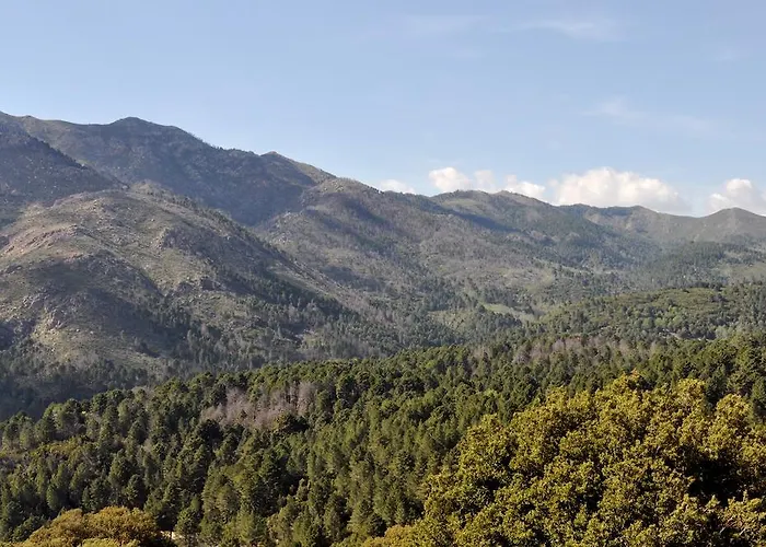 Bed & Breakfast D'hotes Cardellini