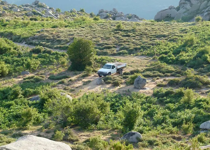 Bed & Breakfast D'hotes Cardellini Aullene