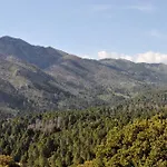 Отель типа 