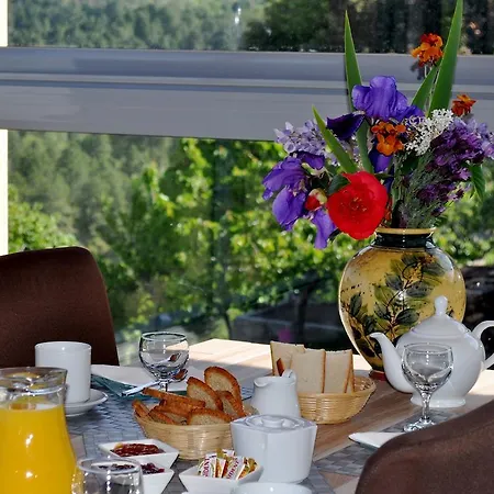 Chambres D'hotes Cardellini