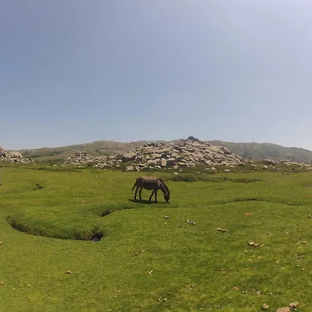 Chambres D'hotes Cardellini